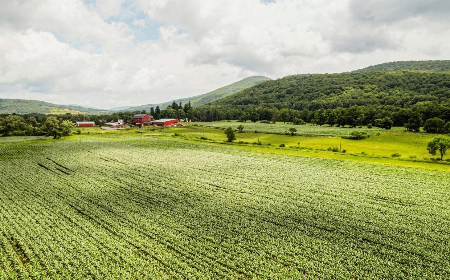 Ashridge farm — aerial view of corn field, red barn cluster, and Catskill mountains, South Kortright, New York