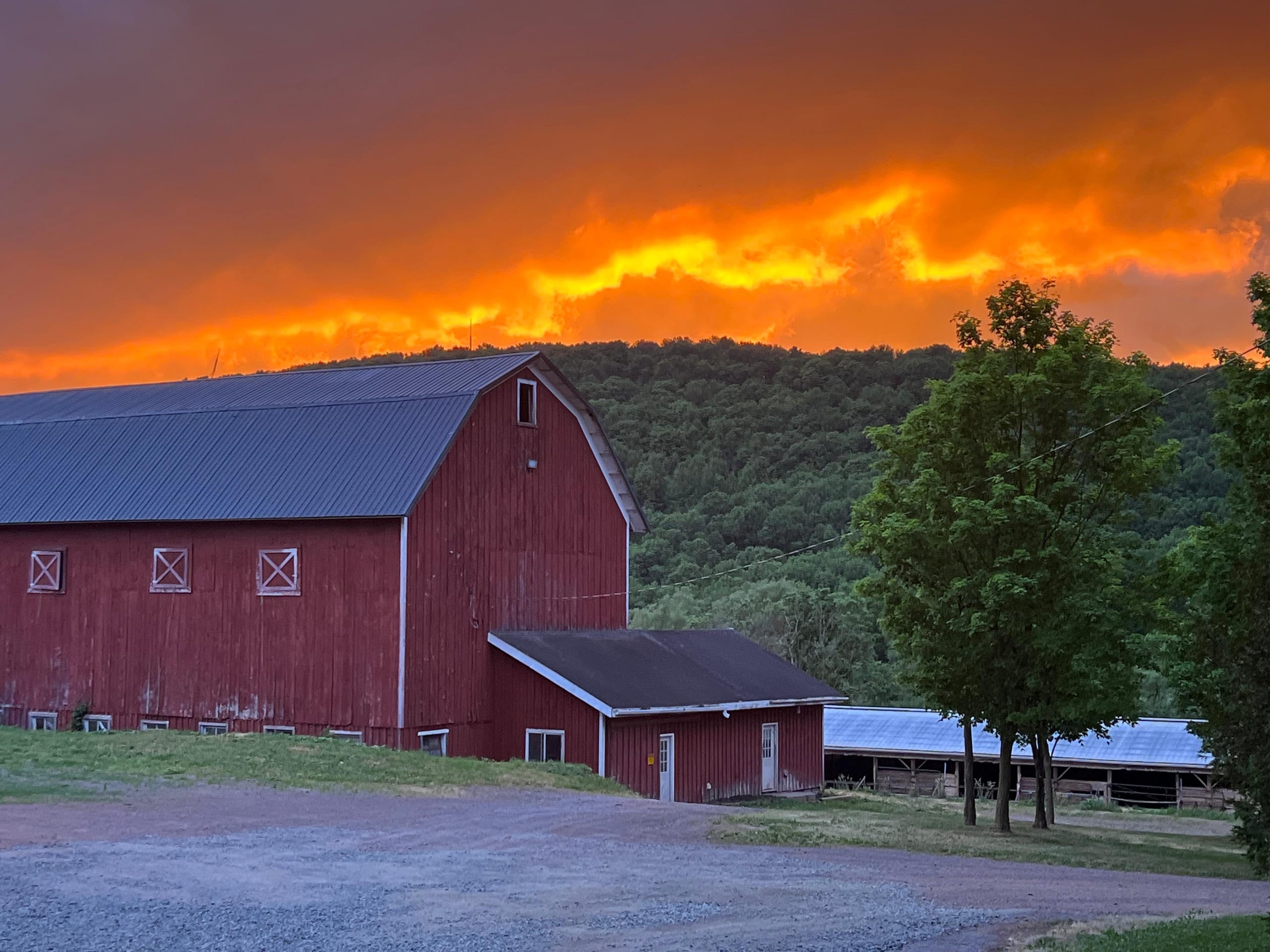 Ashridge red gambrel barn