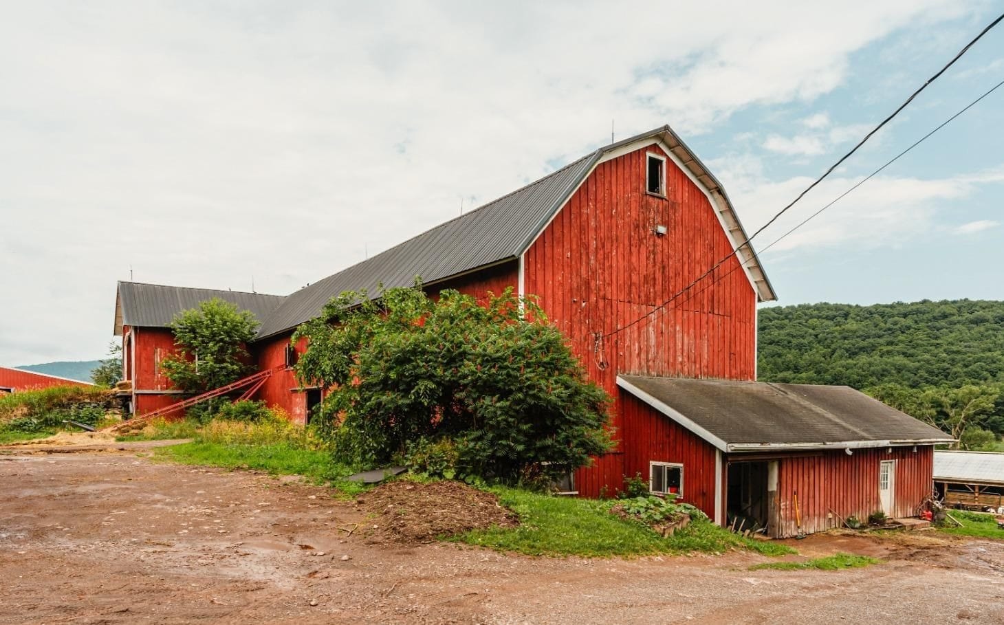 Ashridge red gambrel barn — ground-level view with rolling Catskill hills, South Kortright, New York