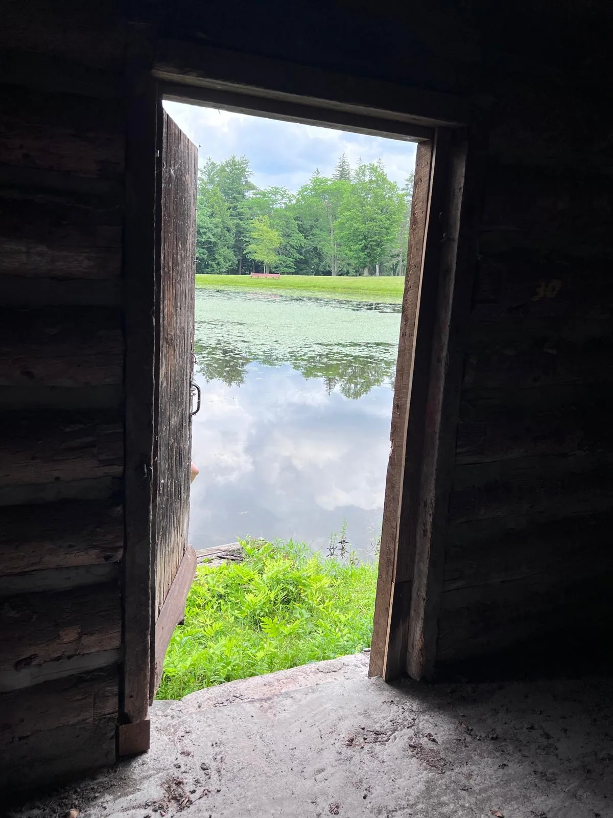 View from inside the boathouse doorway out across the lily-covered lake, sky mirrored in still water.
