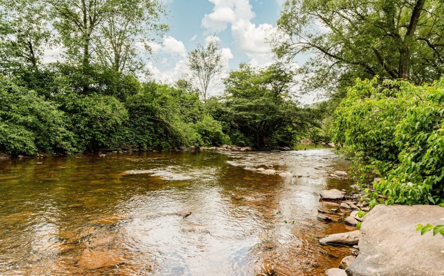 Wooded creek at Ashridge Estate — shallow water, boulders, and forest banks, South Kortright, New York