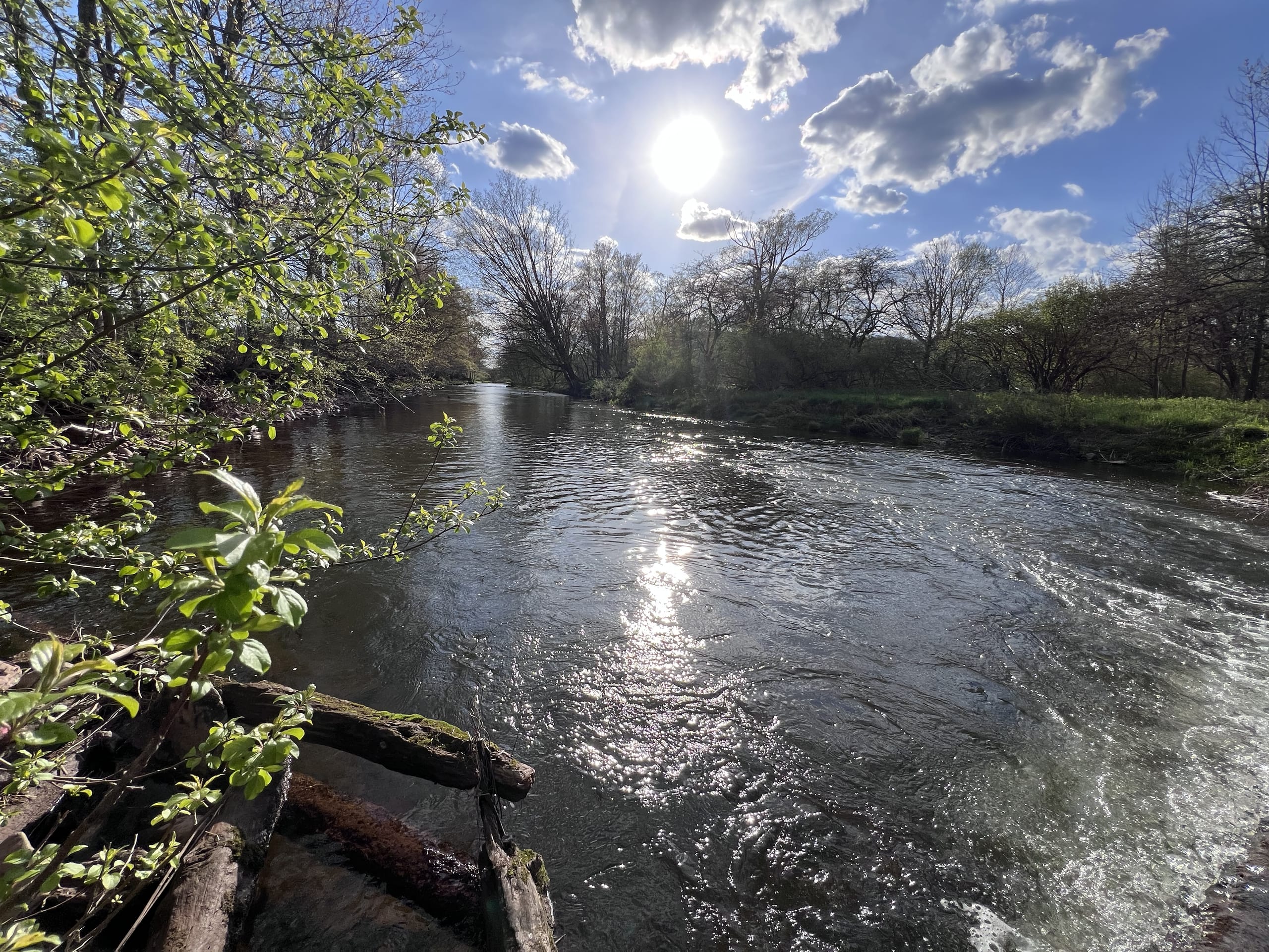 West Branch Delaware River at Ashridge Estate — backlit sun on the river, 1,118 private acres