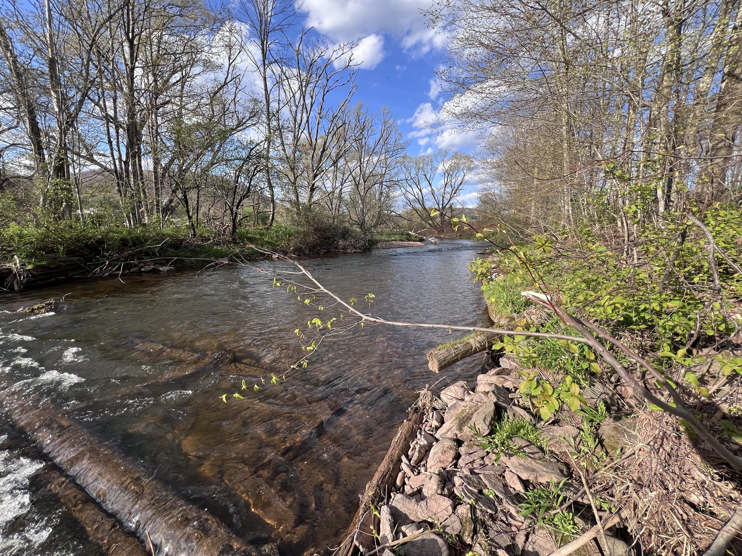 Spring stream on Ashridge Estate — clear water over rocks and early green woodland, South Kortright, New York
