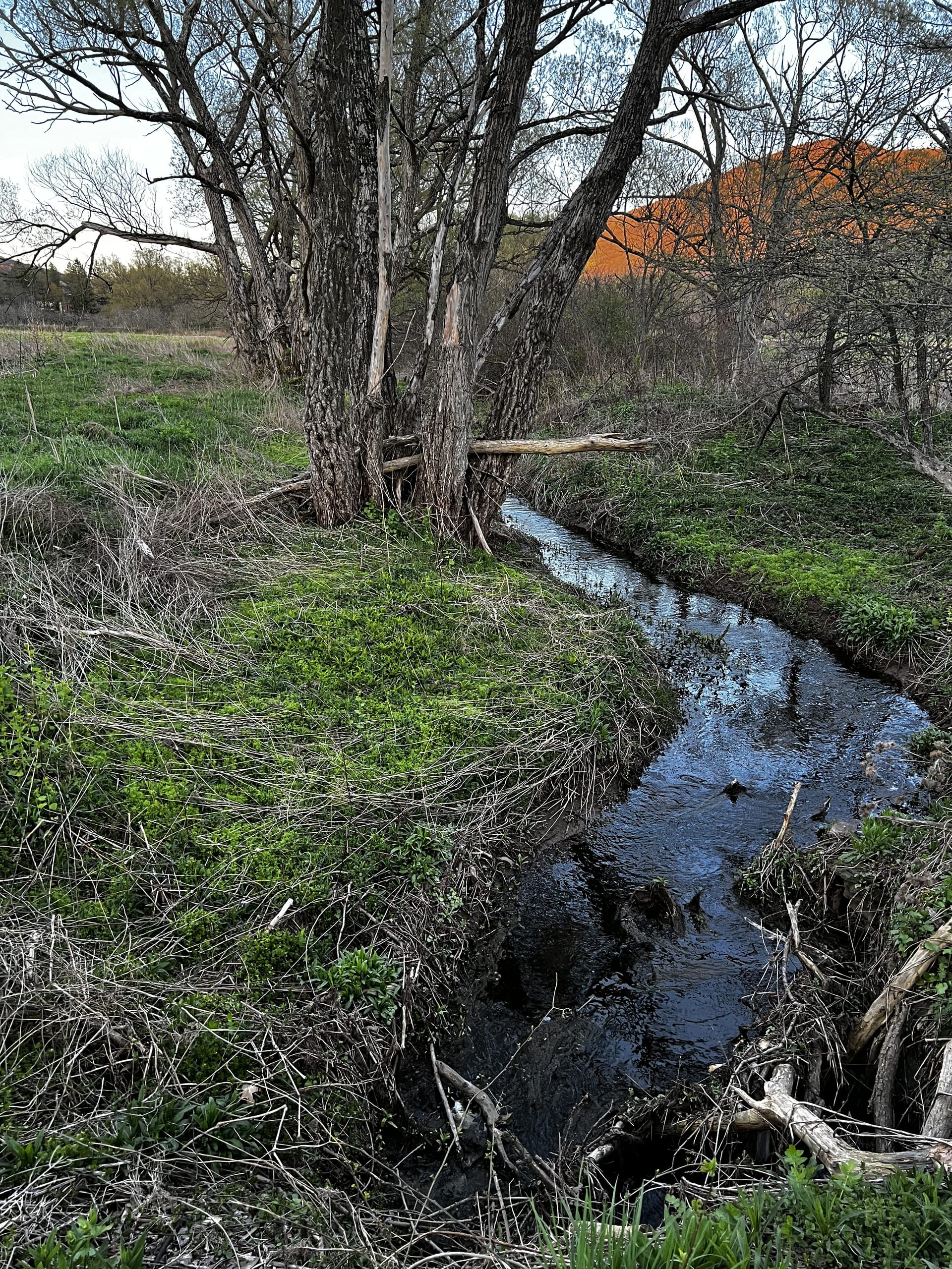 West Branch Delaware River at Ashridge Estate — twilight on the river, orange sky