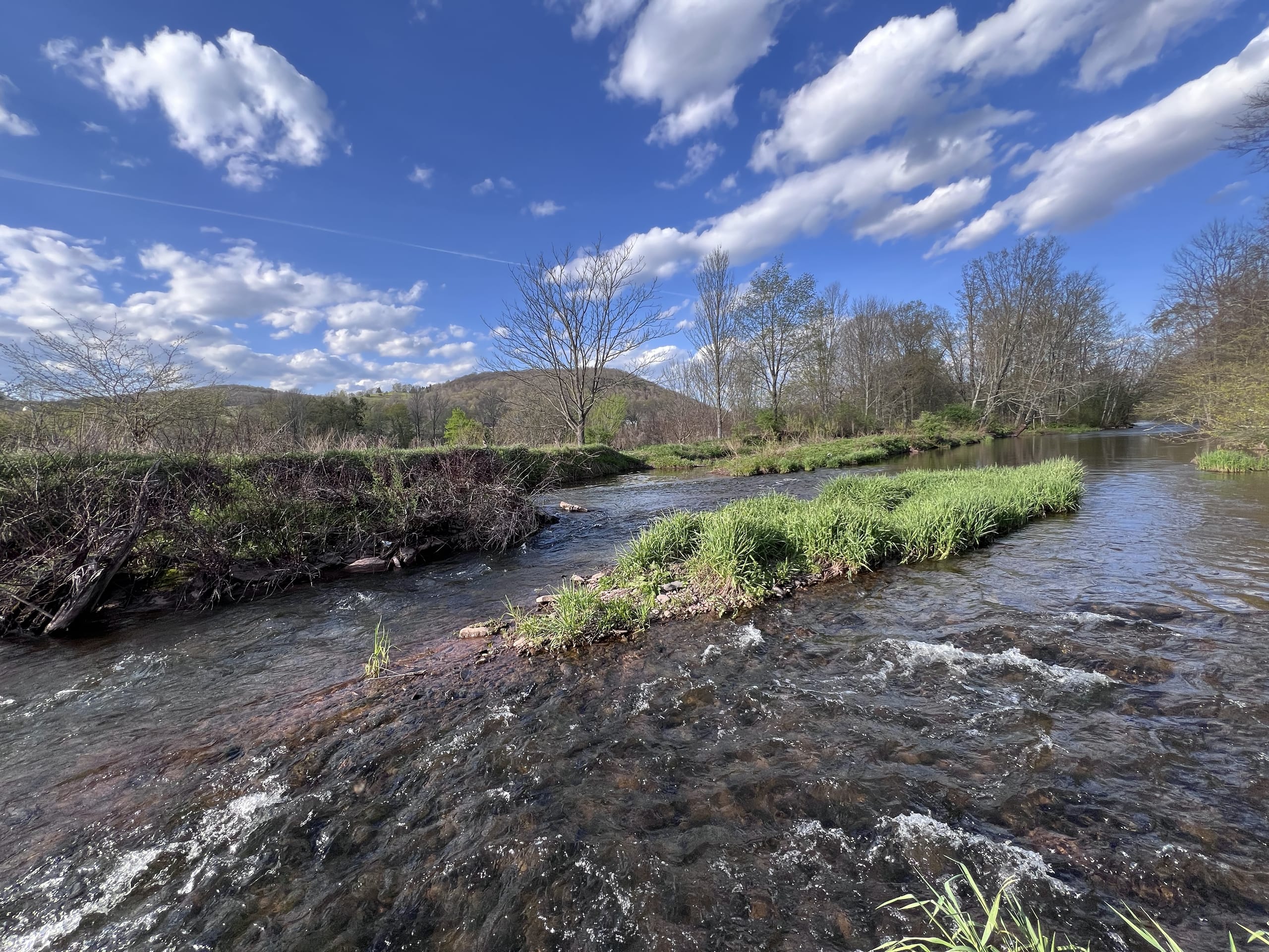 West Branch Delaware River at Ashridge Estate — wide valley view with Catskills ridge, 8,000 feet of private frontage