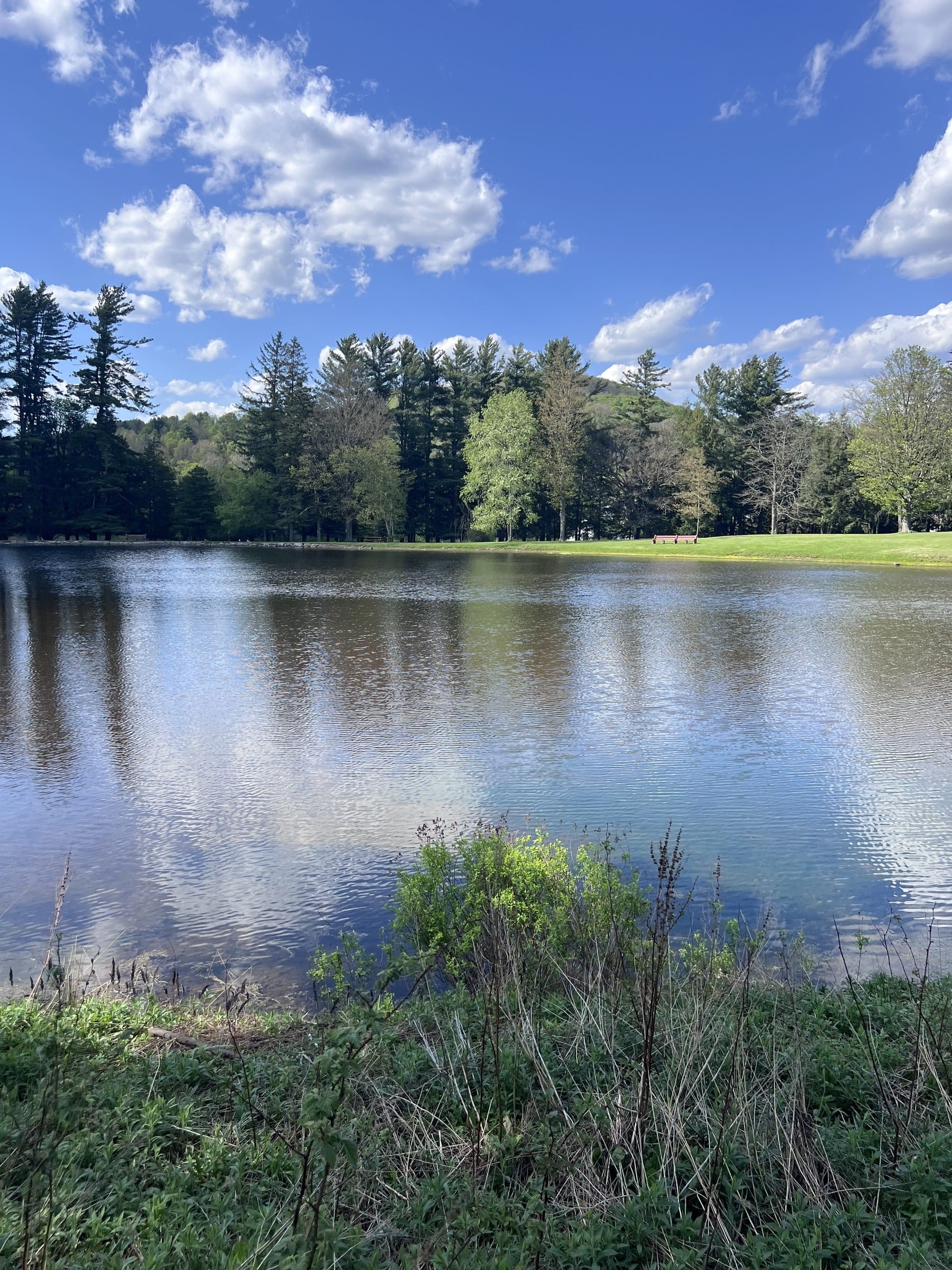 McLean's lake at Ashridge Estate — tree-lined shore and calm water on private estate acreage, South Kortright, New York
